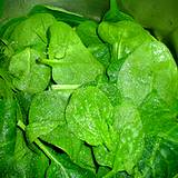 a photo of fresh spinach a natural source of inositol